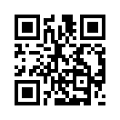 QR CODE 133