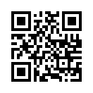 QR CODE 31