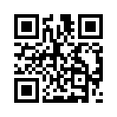 QR CODE 317