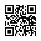 QR CODE 329