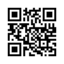 QR CODE 336