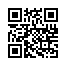QR CODE 394