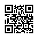 QR CODE 461