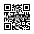 QR CODE 494
