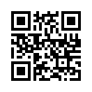 QR CODE 501