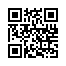 QR CODE 515