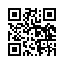 QR CODE 528