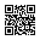 QR CODE 529