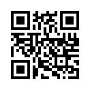 QR CODE 538