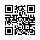 QR CODE 553
