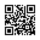 QR CODE 137