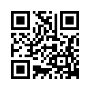QR CODE 256