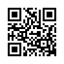 QR CODE 301
