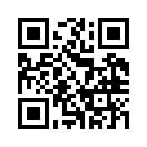 QR CODE 317