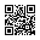 QR CODE 329