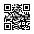QR CODE 336