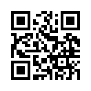 QR CODE 344