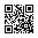 QR CODE 348