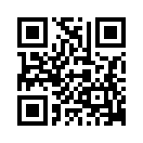 QR CODE 366
