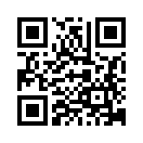QR CODE 394