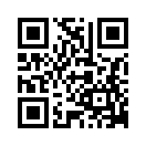 QR CODE 446