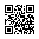 QR CODE 449