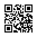 QR CODE 455