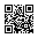 QR CODE 461