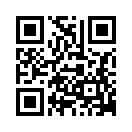 QR CODE 483