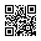 QR CODE 494