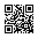 QR CODE 495