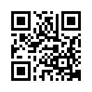 QR CODE 501
