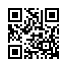 QR CODE 502