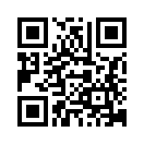 QR CODE 519