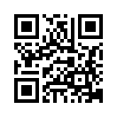 QR CODE 529