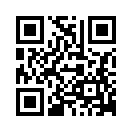 QR CODE 597