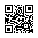 QR CODE 734