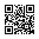 QR CODE 737