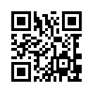 QR CODE 110