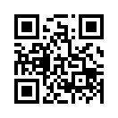 QR CODE 1251