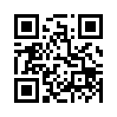 QR CODE 1333