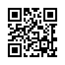 QR CODE 1381