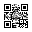 QR CODE 1981