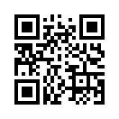 QR CODE 2313