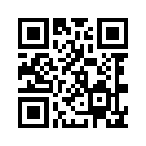 QR CODE 2461