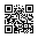 QR CODE 2527