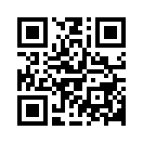 QR CODE 2541