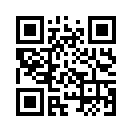 QR CODE 2561