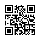 QR CODE 317