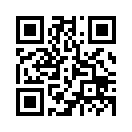 QR CODE 344